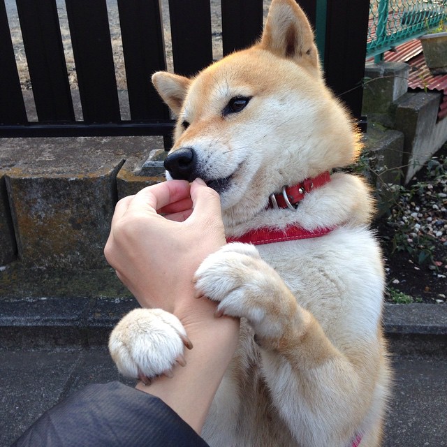 国际自行车赛中国站,中国车手实现突破性进展,2020年国际自行车比赛在哪举行