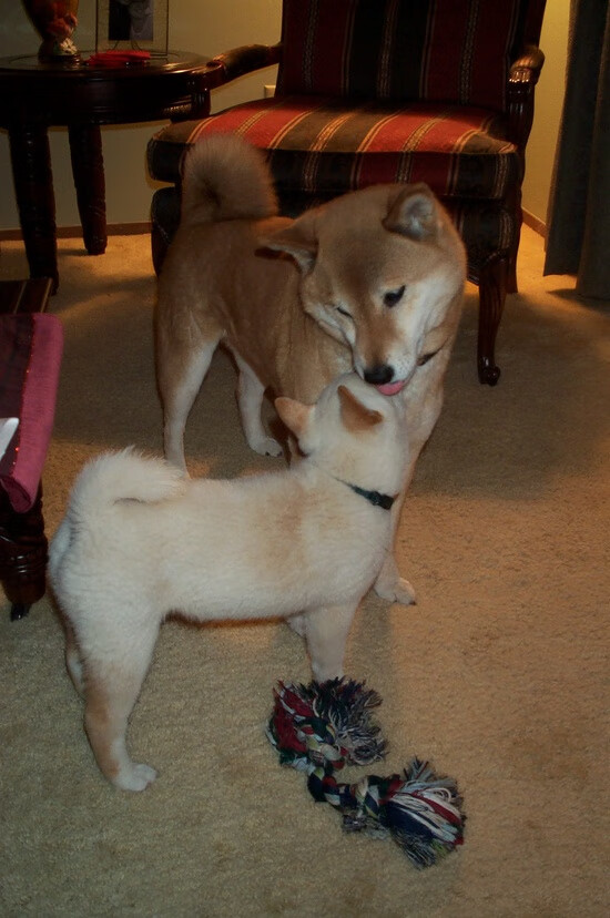 爱游戏官网-“法甲最精彩的比赛，精彩瞬间满载而归”，法甲全场