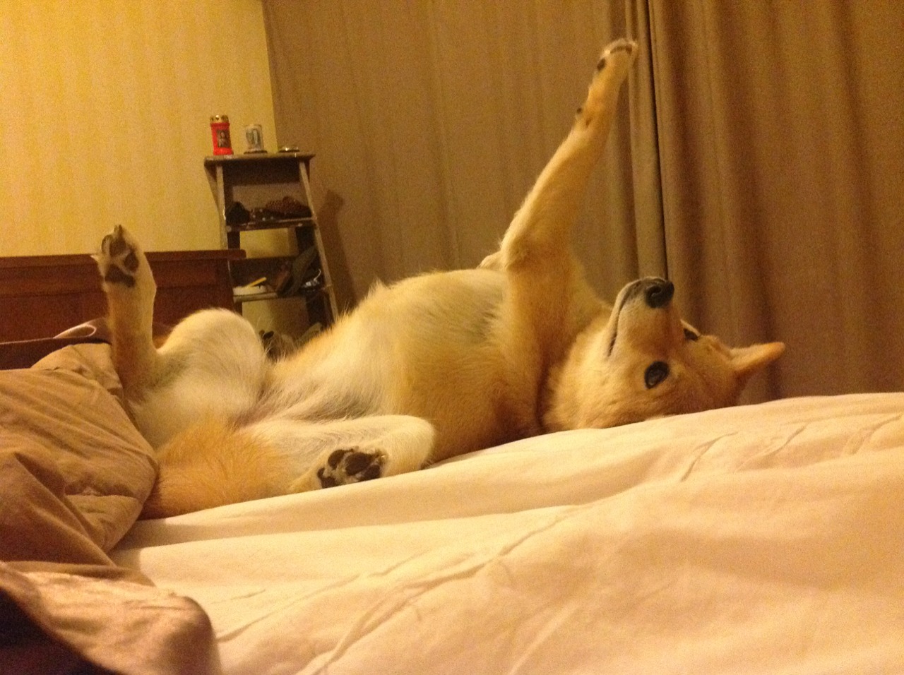 爱游戏 电竞-【冠军秘笈】马克·塞尔比：如何打造铁壁般的防守体系？，马克,塞尔比